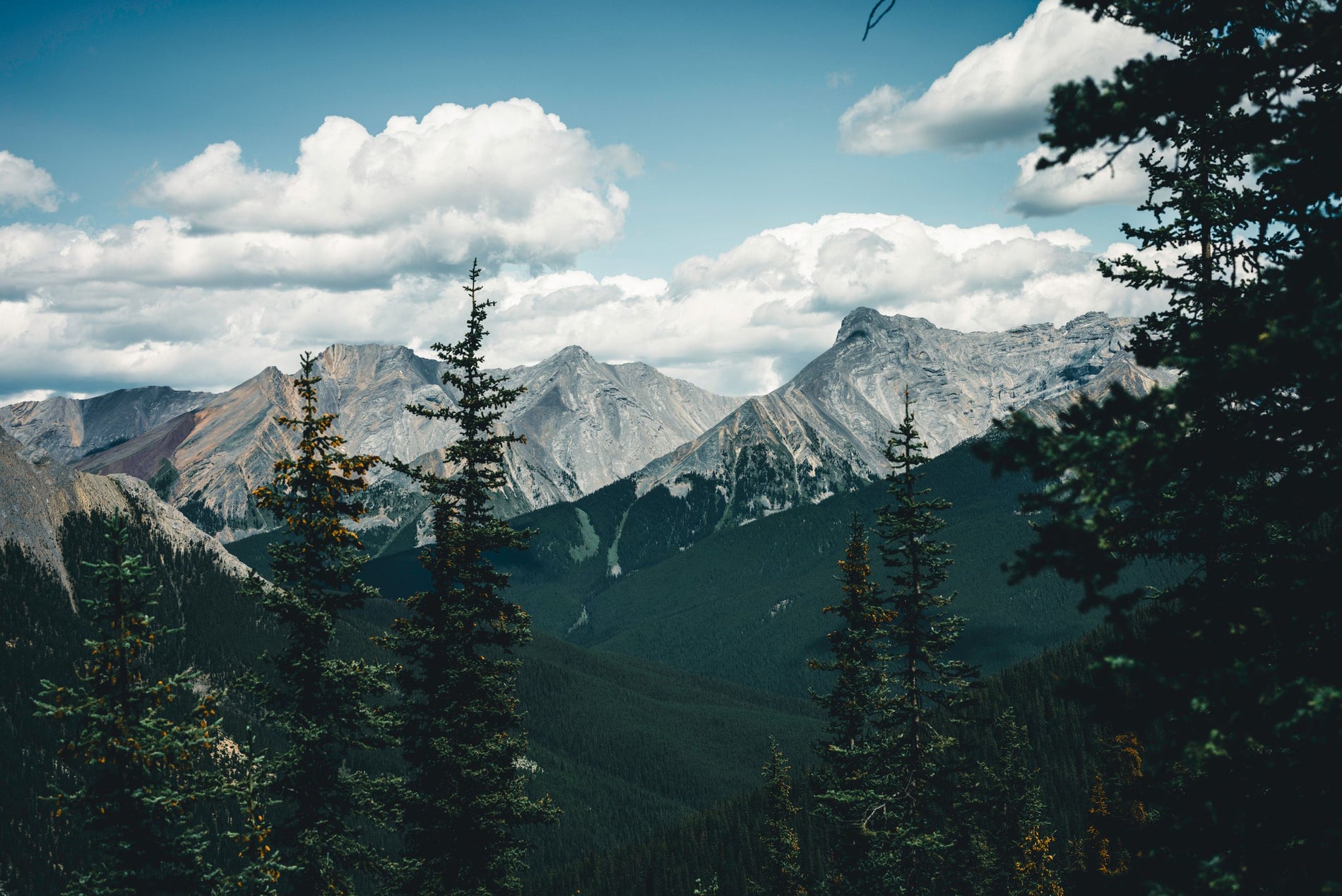 Rocky Mountain foothills west of Calgary
