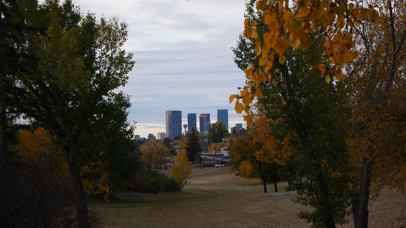 Calgary residential street in autumn