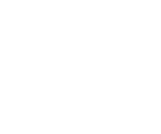 Pillar 9